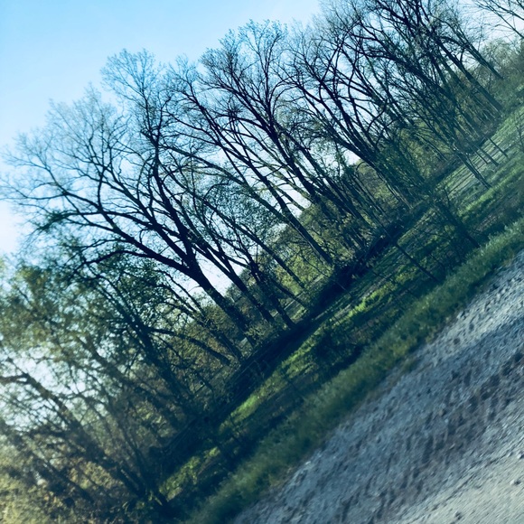 Meet your Posher, Ally - Picture 1 of 1